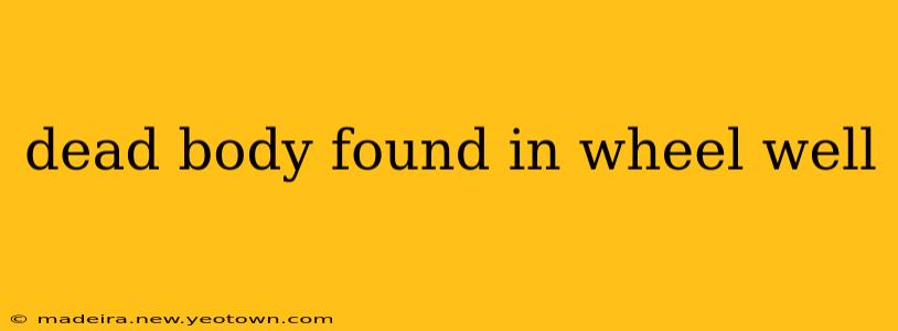dead body found in wheel well