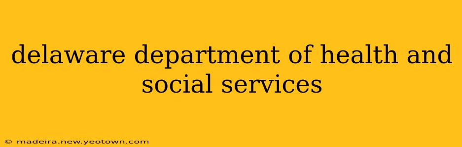 delaware department of health and social services