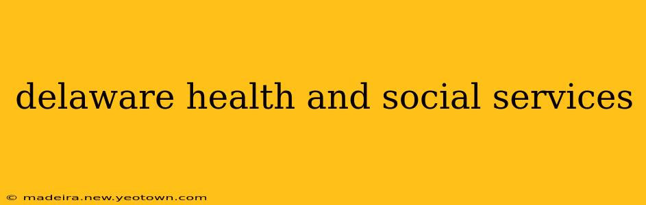 delaware health and social services