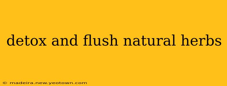 detox and flush natural herbs