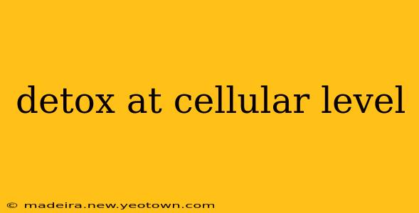 detox at cellular level