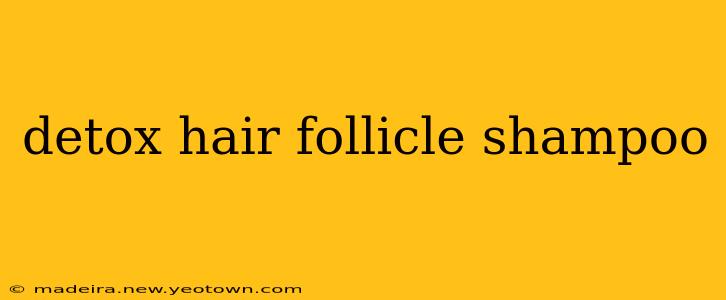 detox hair follicle shampoo