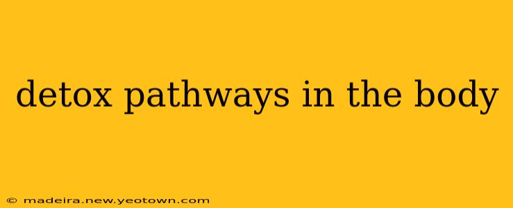 detox pathways in the body