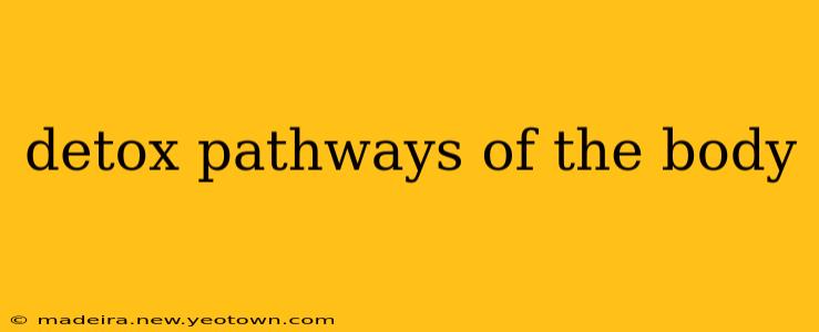 detox pathways of the body