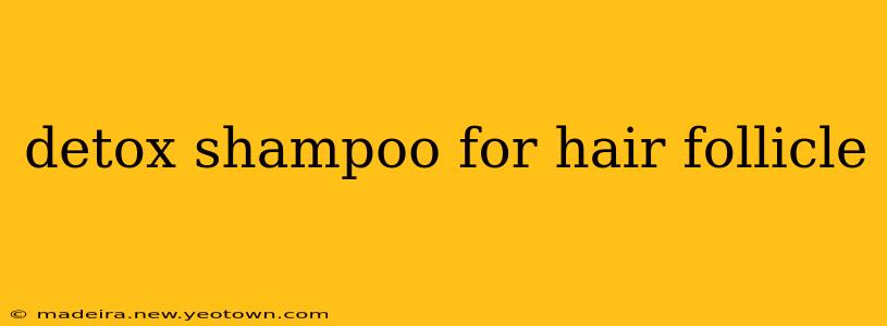 detox shampoo for hair follicle