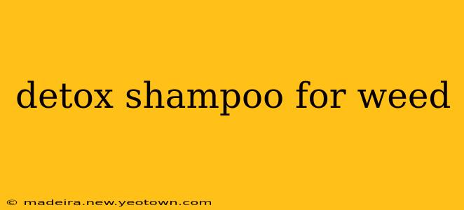 detox shampoo for weed