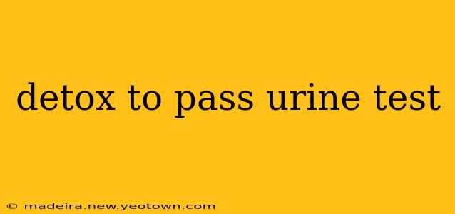 detox to pass urine test