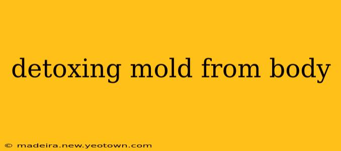 detoxing mold from body