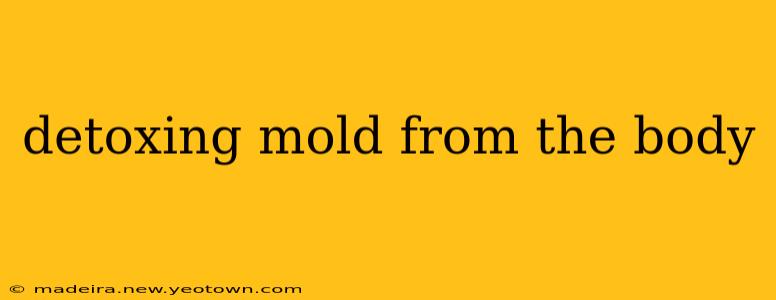 detoxing mold from the body