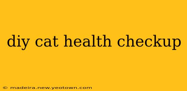 diy cat health checkup