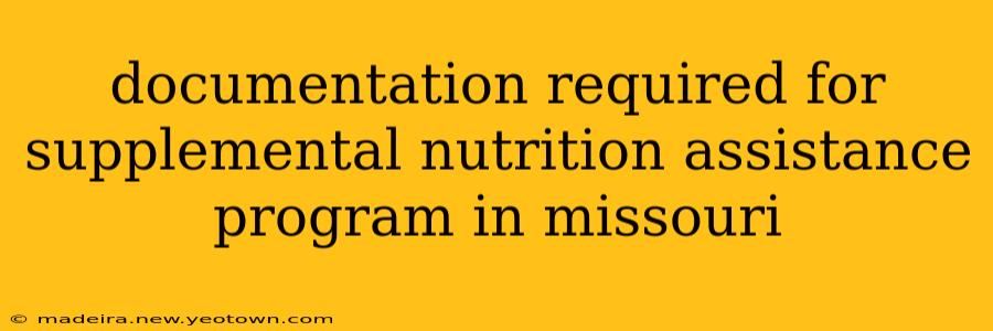 documentation required for supplemental nutrition assistance program in missouri