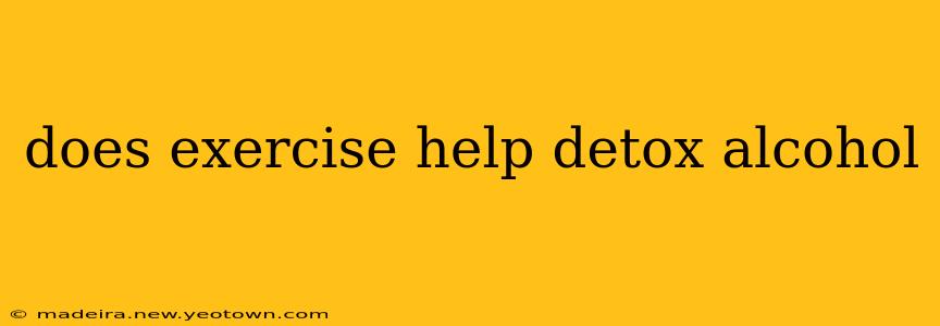does exercise help detox alcohol