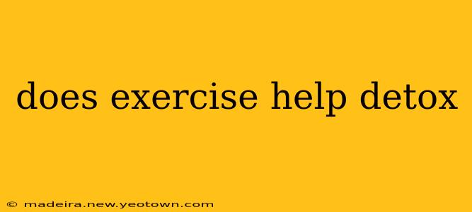 does exercise help detox