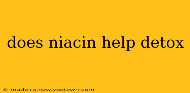 does niacin help detox