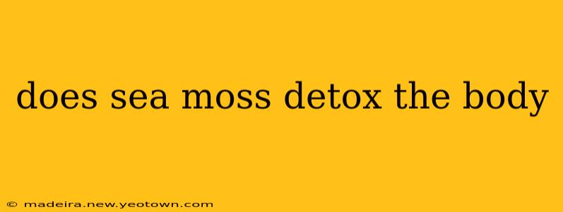 does sea moss detox the body