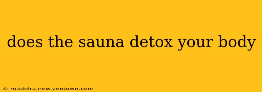does the sauna detox your body