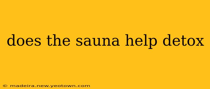 does the sauna help detox