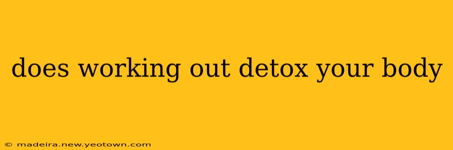 does working out detox your body