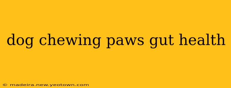 dog chewing paws gut health