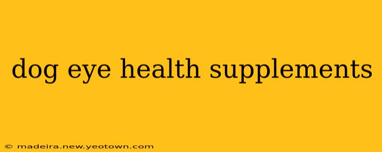 dog eye health supplements