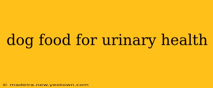 dog food for urinary health
