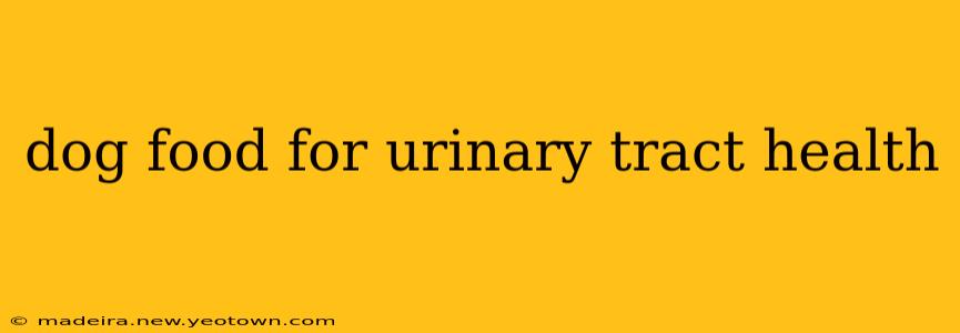 dog food for urinary tract health