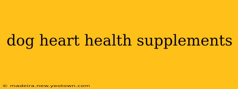 dog heart health supplements