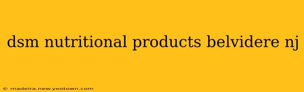 dsm nutritional products belvidere nj