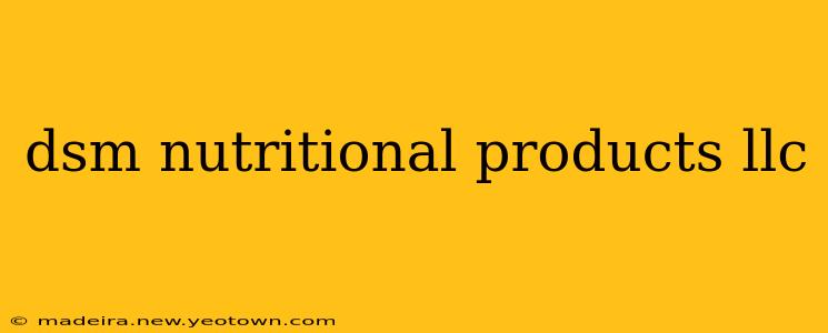 dsm nutritional products llc