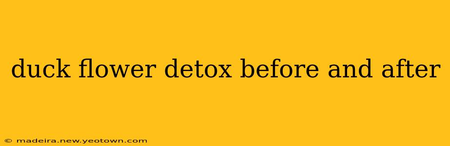 duck flower detox before and after