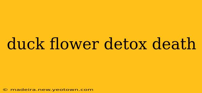 duck flower detox death