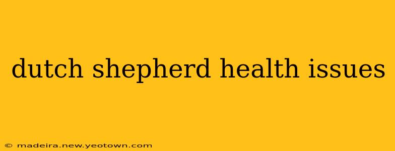 dutch shepherd health issues