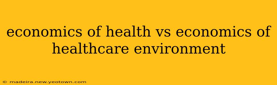 economics of health vs economics of healthcare environment
