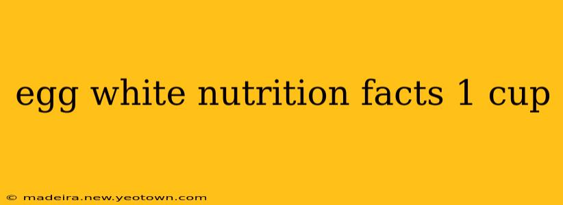 egg white nutrition facts 1 cup