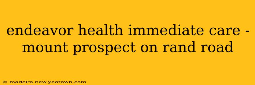 endeavor health immediate care - mount prospect on rand road