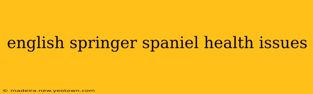 english springer spaniel health issues