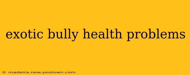 exotic bully health problems