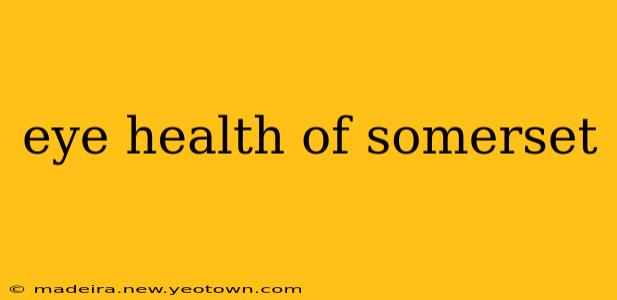 eye health of somerset