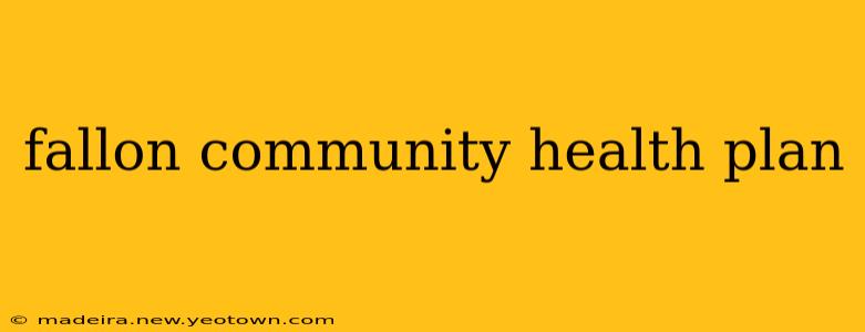 fallon community health plan