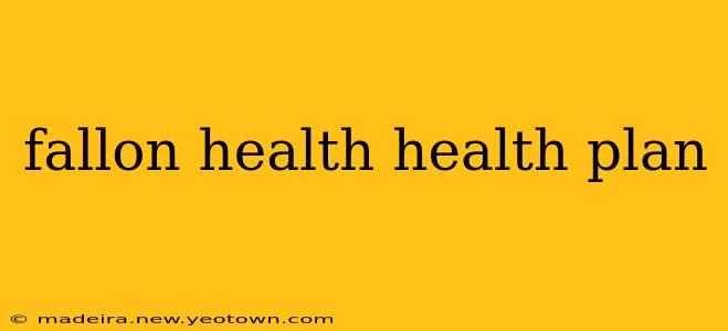 fallon health health plan