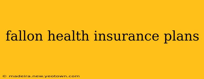 fallon health insurance plans