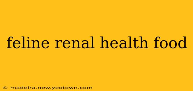 feline renal health food