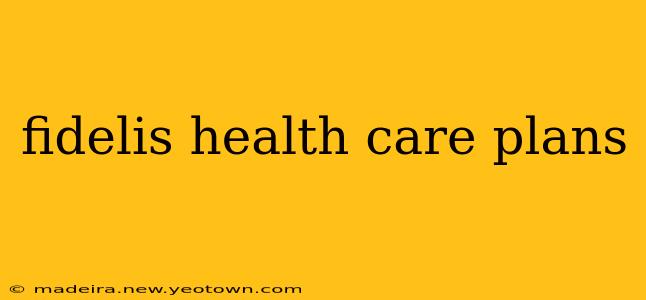 fidelis health care plans