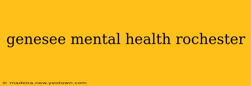 genesee mental health rochester