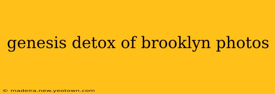 genesis detox of brooklyn photos