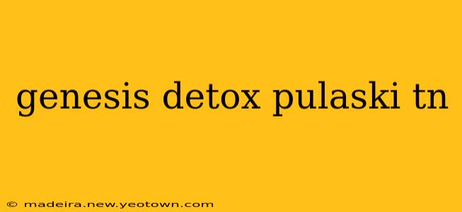 genesis detox pulaski tn