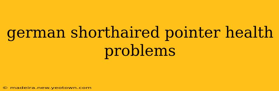 german shorthaired pointer health problems