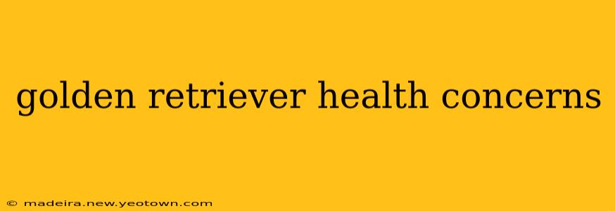 golden retriever health concerns