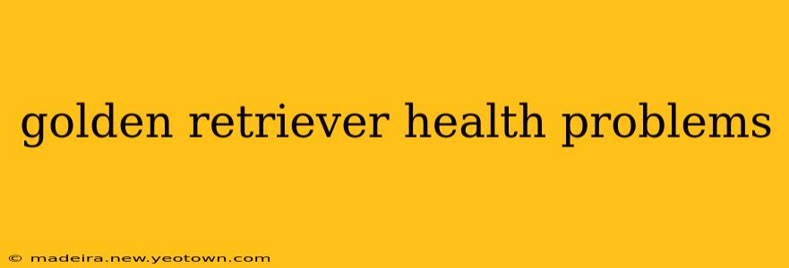 golden retriever health problems