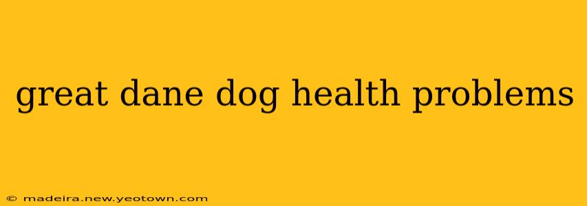 great dane dog health problems